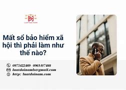 Mất Bảo Hiểm Xã Hội Phải Làm Sao