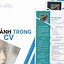 Mẫu Cv Xin Việc File Word Tiếng Anh