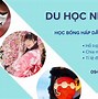 Visa D2 Và D4 Khác Nhau Như Thế Nào